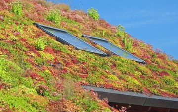 Paternoster Heath living roof systems